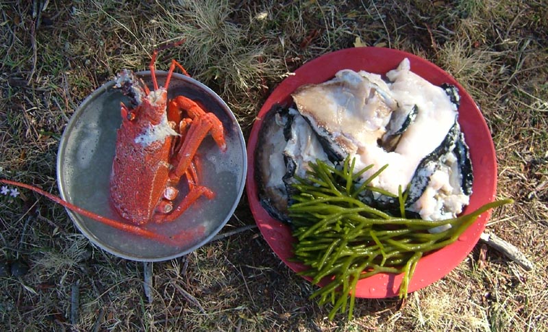 Food Small.jpg